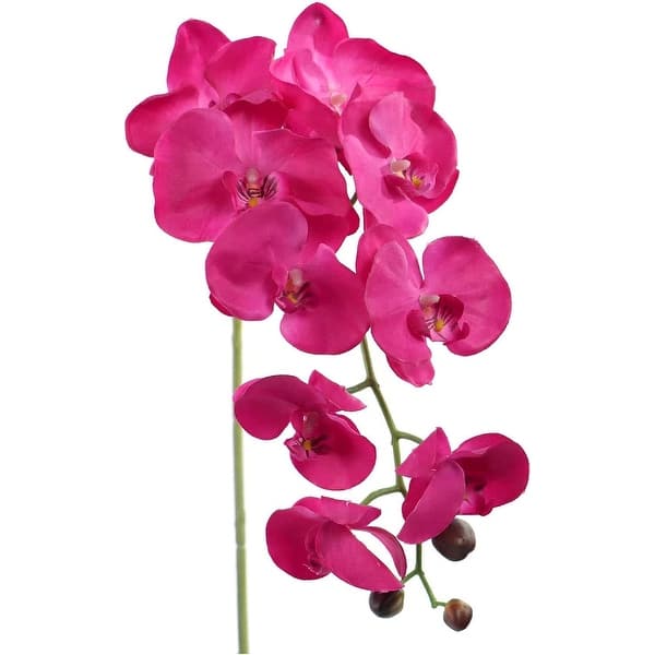 Artificial Orchid Stems, Real Touch Ultra Realistic Faux Decorative Phalaenopsis Flowers